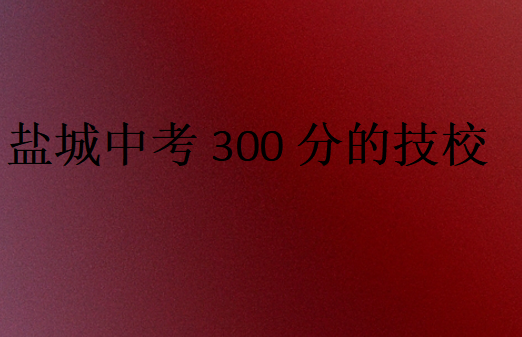 鹽城中考300分的技校