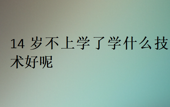 14歲不上學了學什么技術好呢