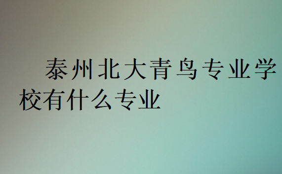 泰州北大青鳥專業(yè)學(xué)校有什么專業(yè)
