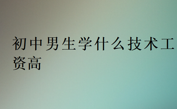 初中男生學(xué)什么技術(shù)工資高