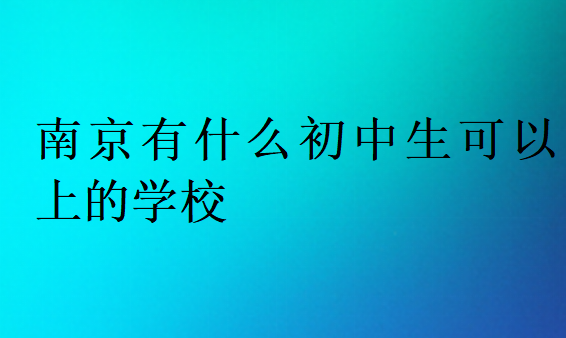 南京有什么初中生可以上的學(xué)校