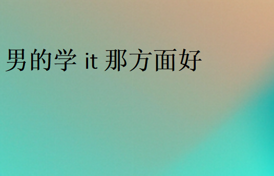 男的學(xué)it那方面好