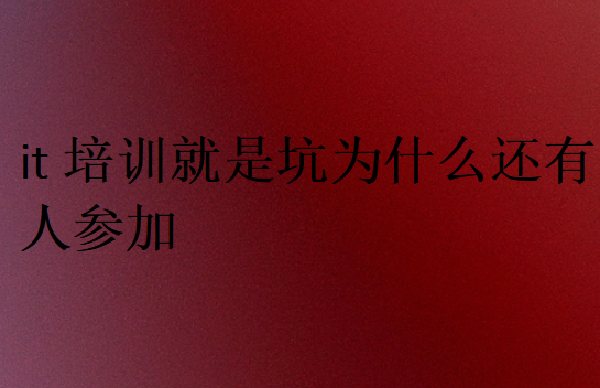 it培訓就是坑為什么還有人參加