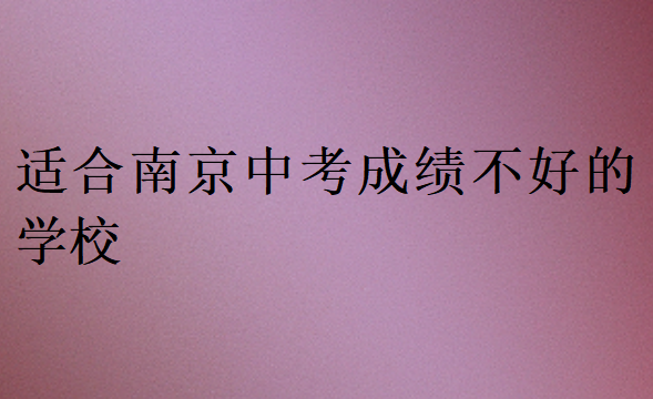 適合南京中考成績不好的學(xué)校