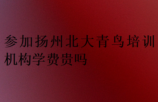 參加揚(yáng)州北大青鳥培訓(xùn)機(jī)構(gòu)學(xué)費貴嗎