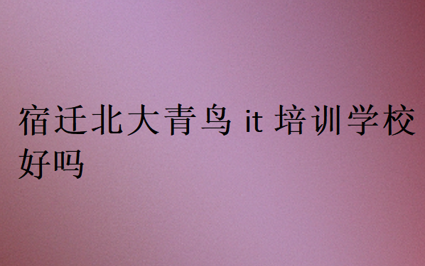 宿遷北大青鳥it培訓(xùn)學(xué)校好嗎