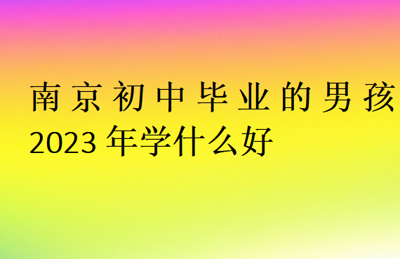 南京初中畢業(yè)的男孩2023年學(xué)什么好