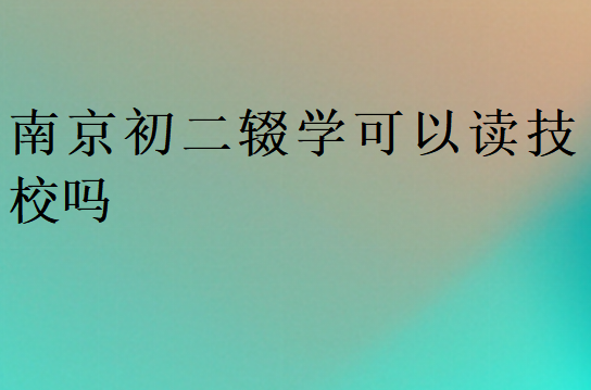 南京初二輟學(xué)可以讀技校嗎