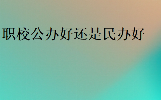 職校公辦好還是民辦好