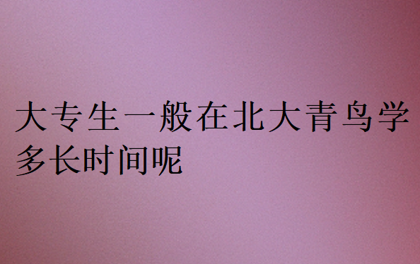 大專生一般在北大青鳥學(xué)什么