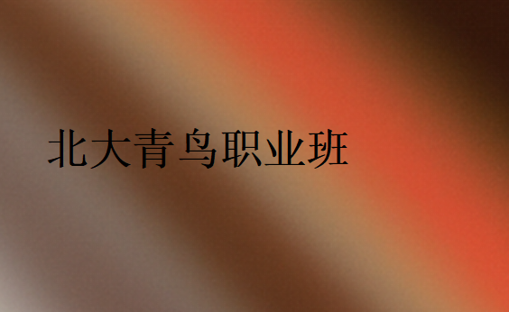 北大青鳥職業(yè)班
