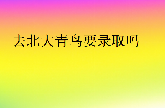 去北大青鳥要錄取嗎