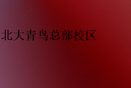 北大青鳥(niǎo)哪個(gè)校區(qū)比較有實(shí)力