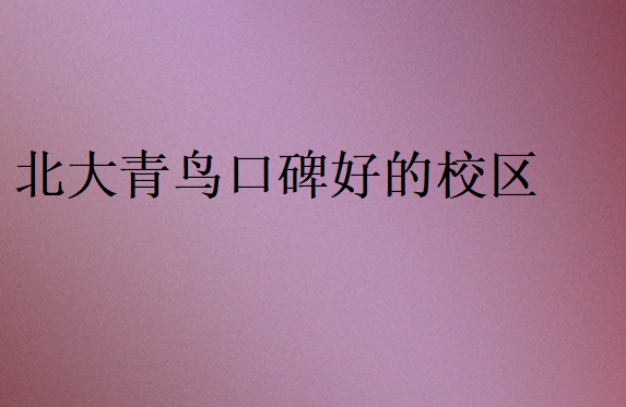 北大青鳥學(xué)校哪家好