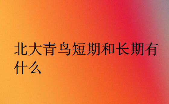 北大青鳥短期和長期有什么