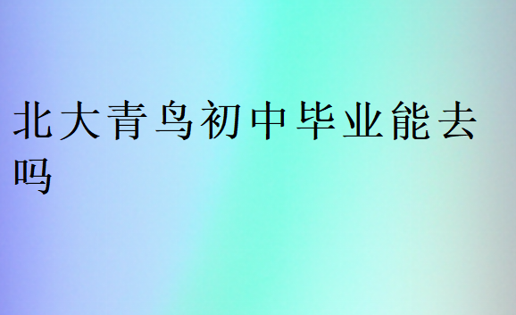 北大青鳥初中一年學(xué)費多少錢