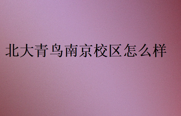北大青鳥南京校區(qū)怎么樣