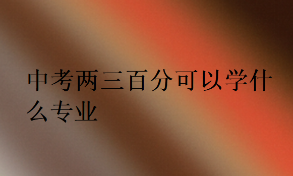 中考兩三百分可以學(xué)什么專業(yè)