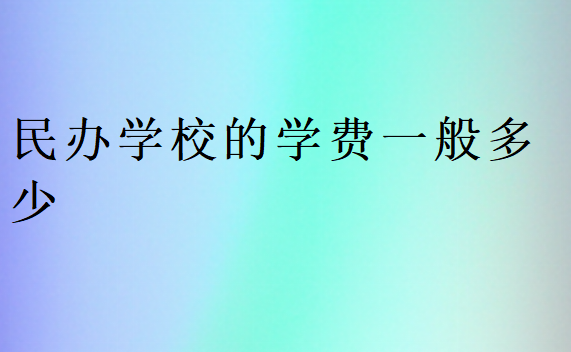 民辦學(xué)校的學(xué)費(fèi)一般多少錢