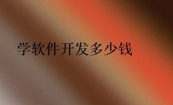 學軟件開發(fā)去哪個學校