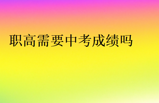 沒中考成績上職高