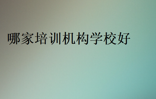 哪家培訓(xùn)機構(gòu)學(xué)校好