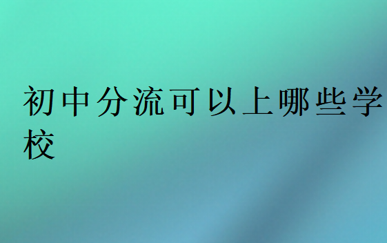 初中分流可以上哪些學校