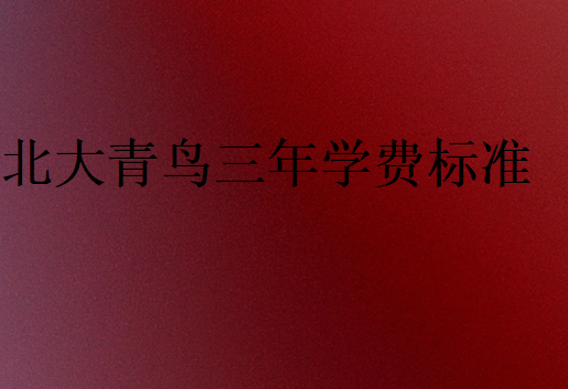 北大青鳥(niǎo)三年學(xué)費(fèi)標(biāo)準(zhǔn)