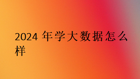 2024年學大數據怎么樣