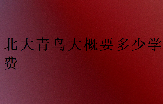 北大青鳥大概要多少學費