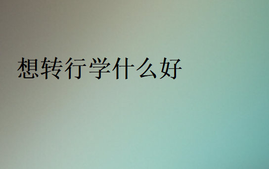想轉(zhuǎn)行學(xué)什么好
