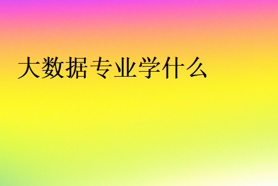 大數(shù)據(jù)專業(yè)學什么