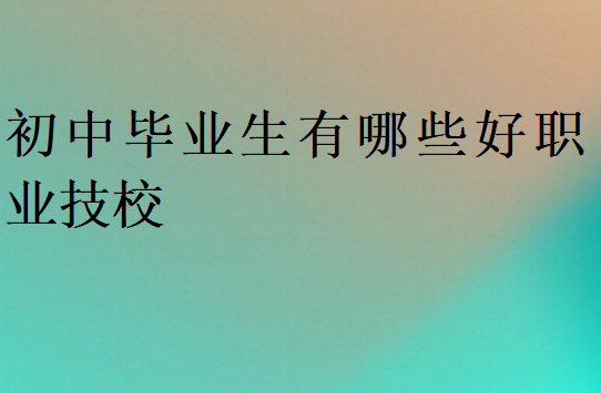 南京初中畢業(yè)生有哪些好職業(yè)技校