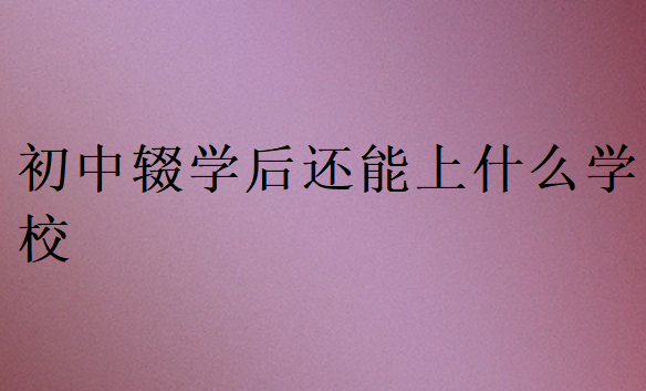 初中輟學(xué)后還能上什么學(xué)校