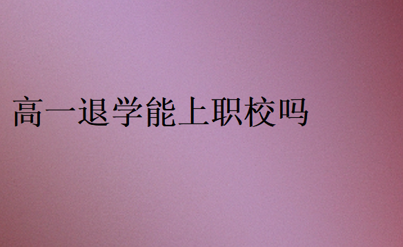 高一退學(xué)能上職校嗎