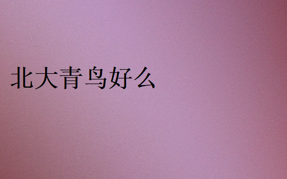 北大青鳥好么