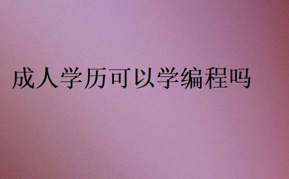 成人學(xué)歷可以學(xué)編程嗎