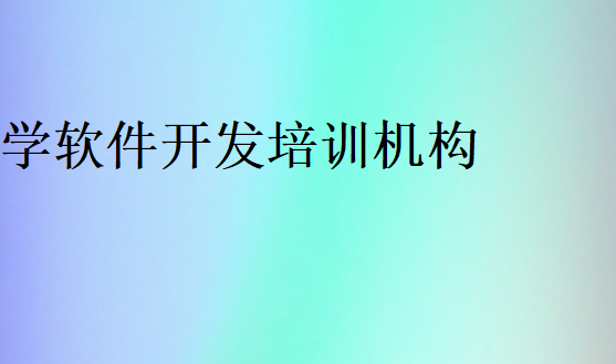 學(xué)軟件開發(fā)培訓(xùn)機構(gòu)